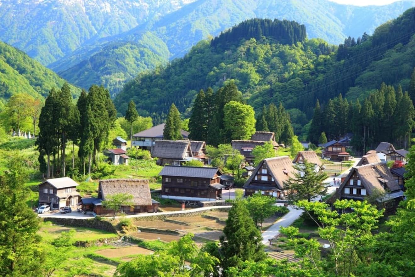 税理士地方に転職